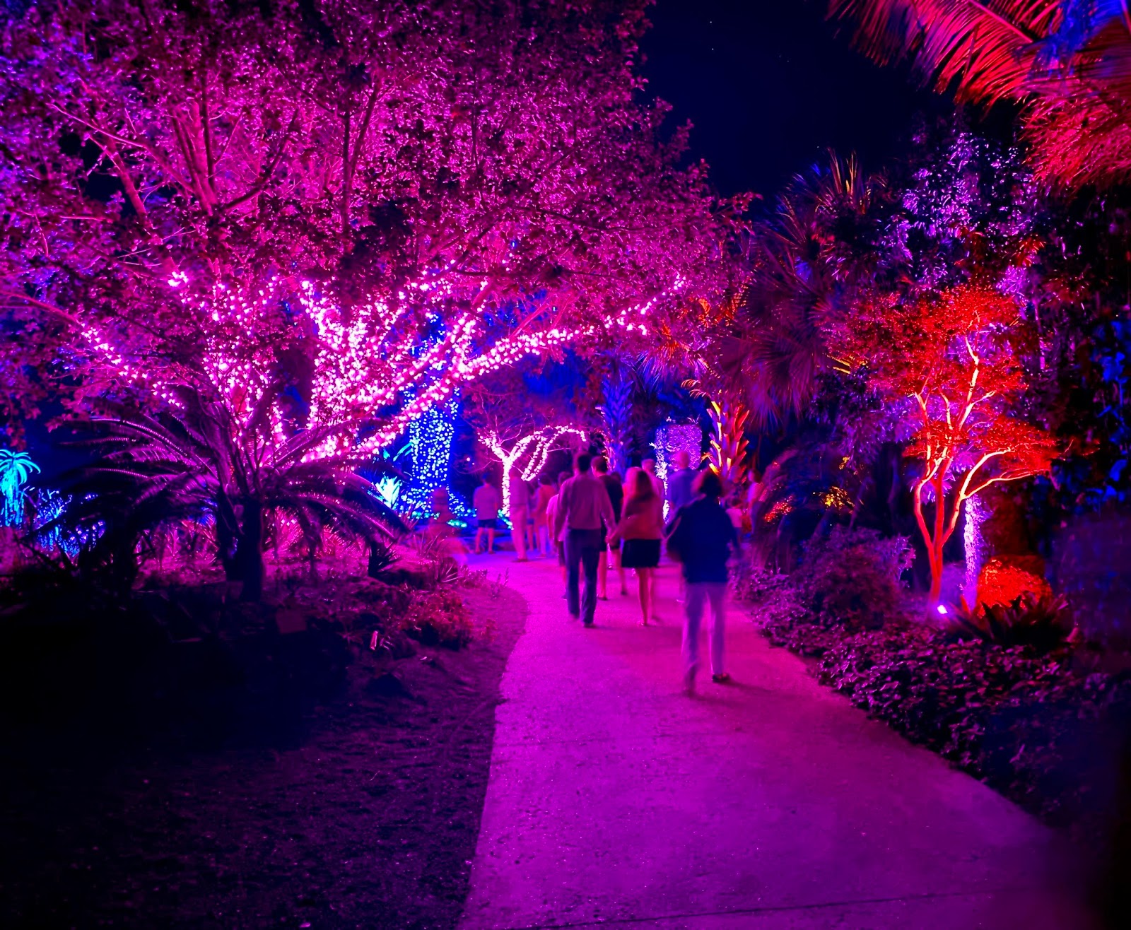 Southwest Daily Images Night Lights at the Naples Botanical Gardens