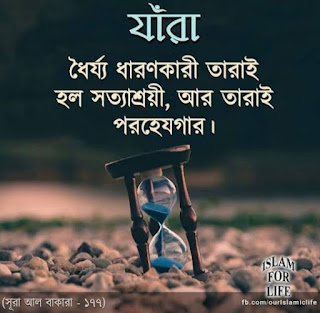 ইসলামী ইমেজ