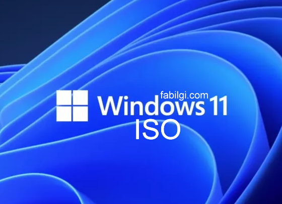 Windows 11 Son Sürümü Nasıl İndirilir? Iso İndir 2021