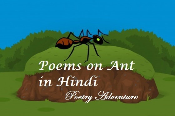 चींटी रानी पर कविताएँ, चींटी पर कविता, Poem on Ant in Hindi, Ant Par Kavita, Cheeti Par Kavita, Chiti Raani Par Kavita