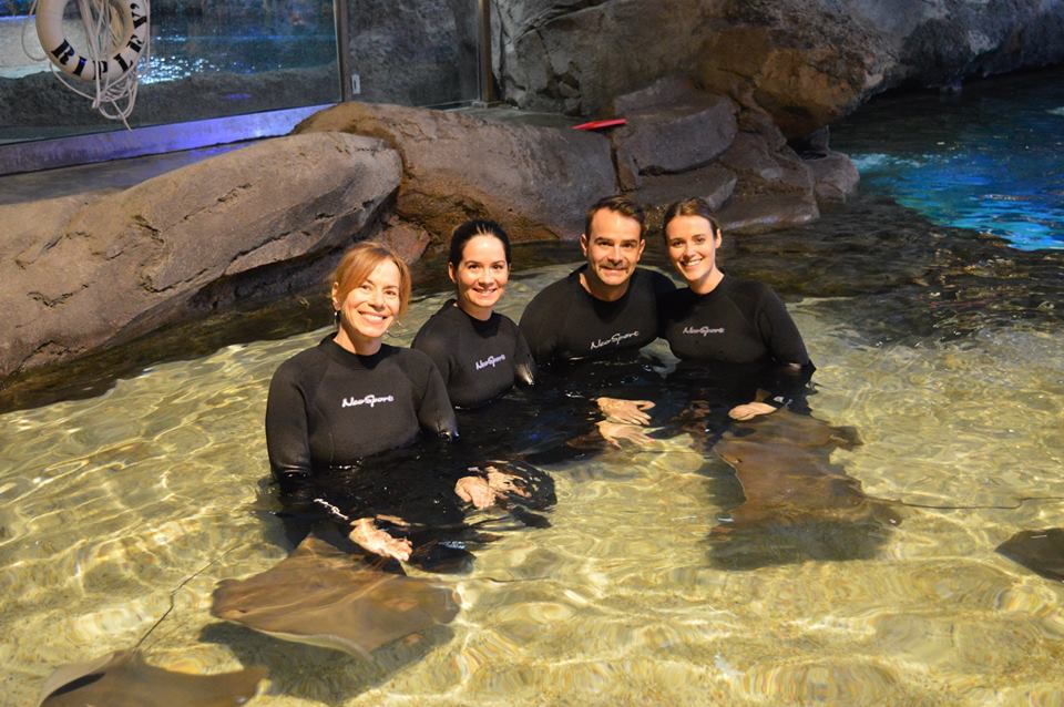 Holiday Gift Guide Toronto Experiences To & Fro