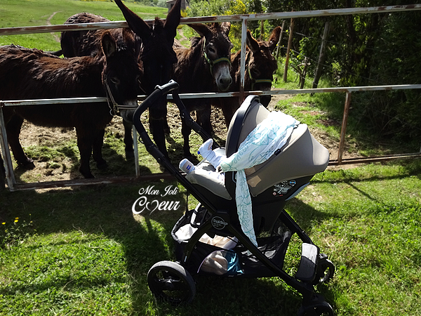 poussette cosy nacelle peg perego