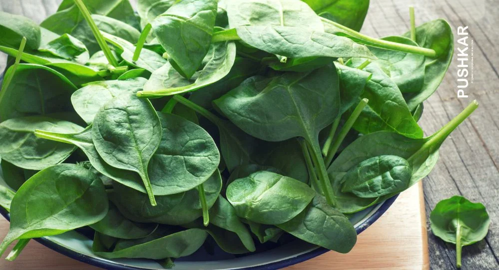 СНИЖЕНИЕ ГОМОЦИСТЕИНА.