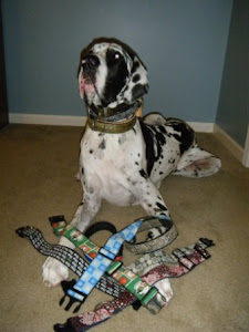 Bad Sports - 2nd place