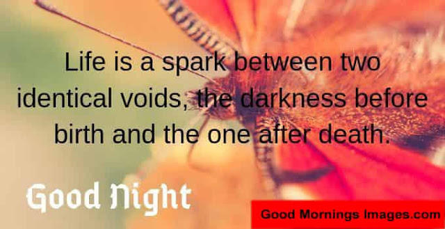 Good-Night Loves quotes Good-Night Loves quotes