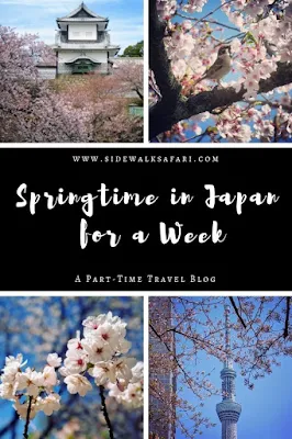 Springtime in Japan for a Week: Japan in April