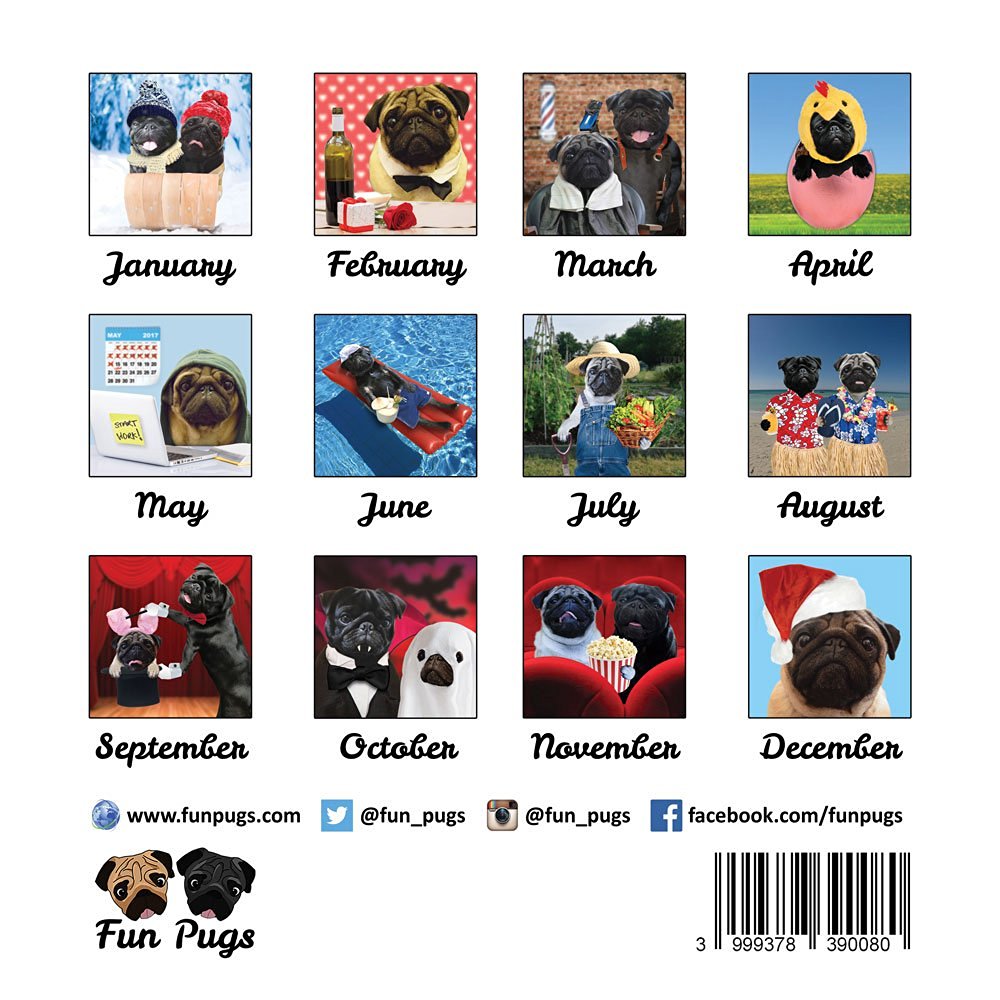 Welcome To Cassandra s Corner Fun Pugs 2017 Pug Wall Calendar welcome-to-cassandra-s-corner-fun-pugs-2017-pug-wall-calendar