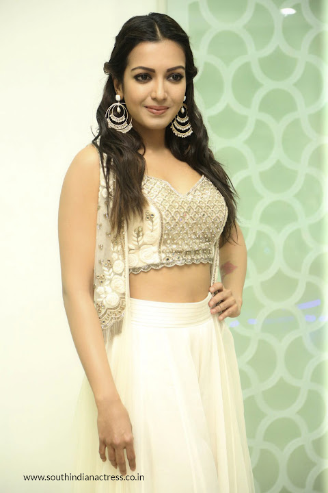 Catherine Tresa at Gautham Nanda success meet