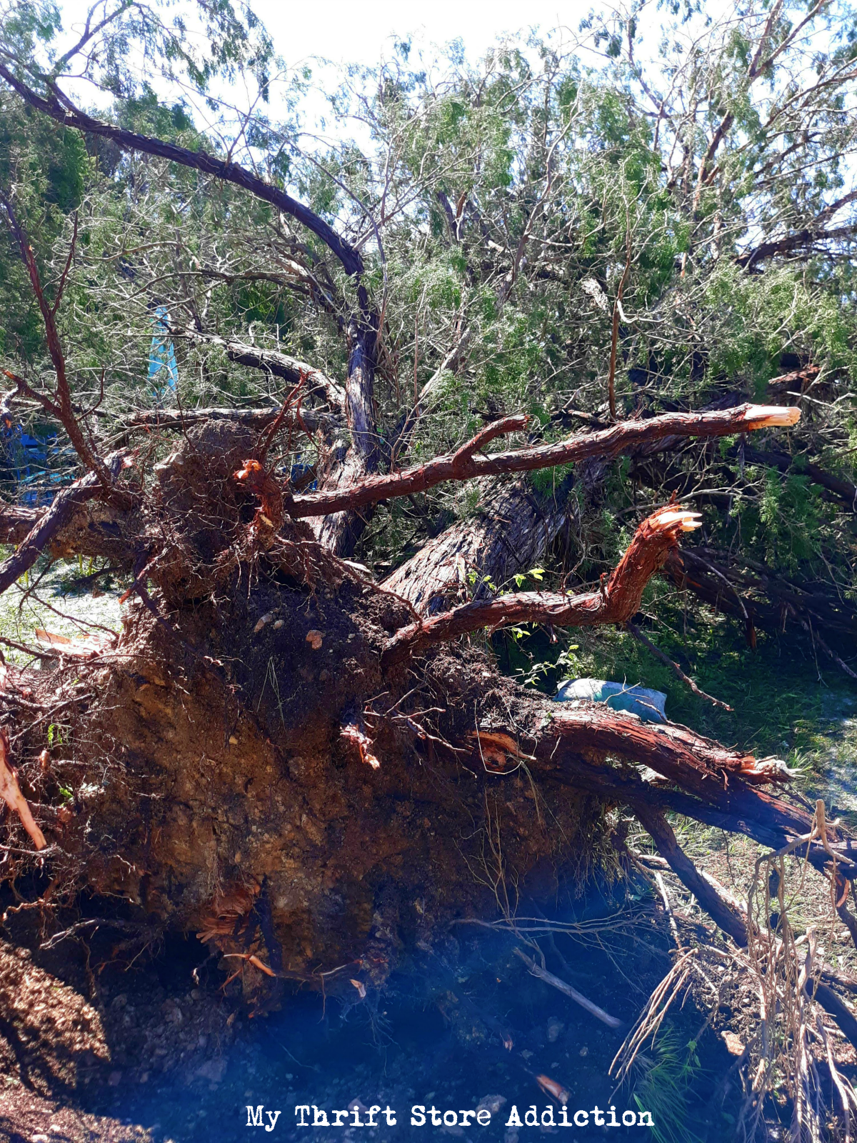 storm damage