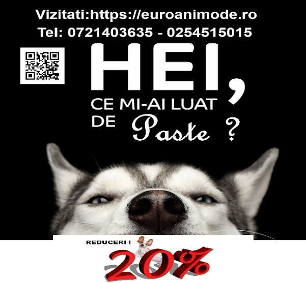 Oferte de PASTE !