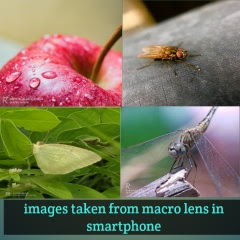 Macro-lens-kya-he? What-is-macro-lens-in-smartphones