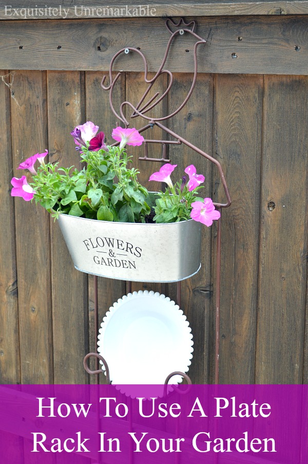 How To Use A Plate Rack In Your Garden