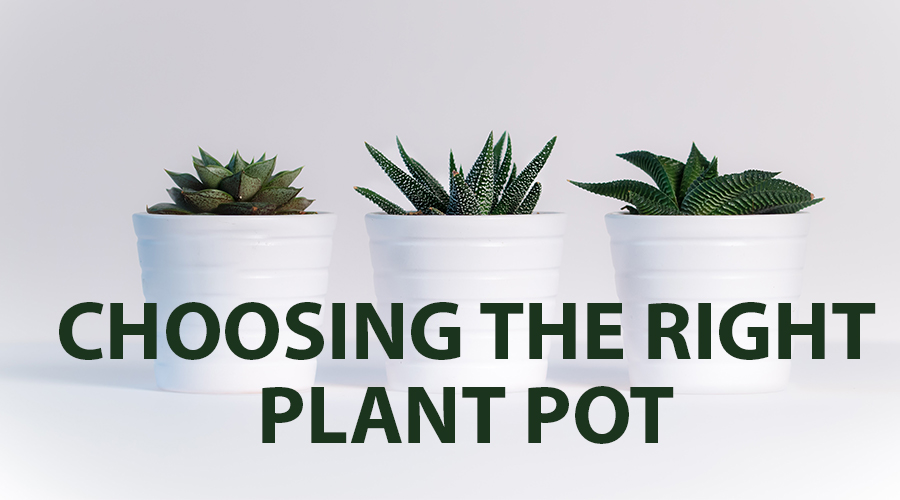 Tips for Choosing the Right Plant Pot for Your Patio Area