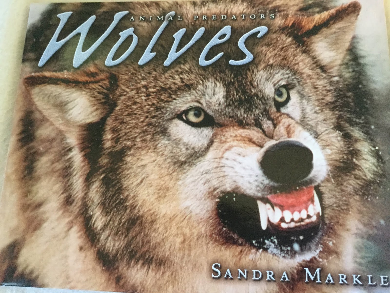 WRITE ON! Sandra Markle: SHARE WOLVES WITH ME 3 WAYS--PART 2