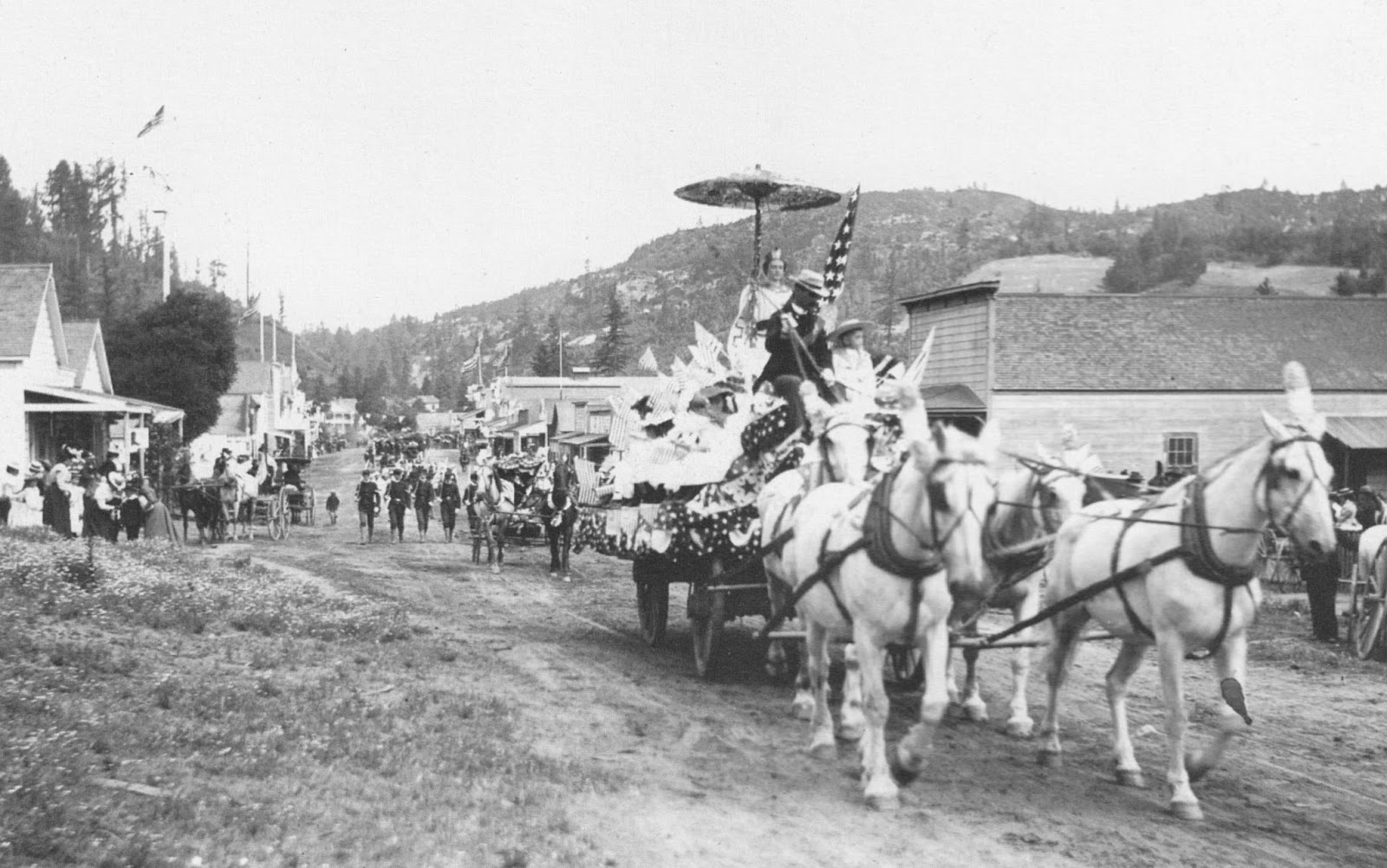 Forestdweller Boulder Creek