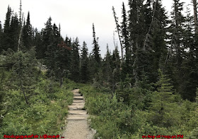 Mount Rainier Wonderland Trail