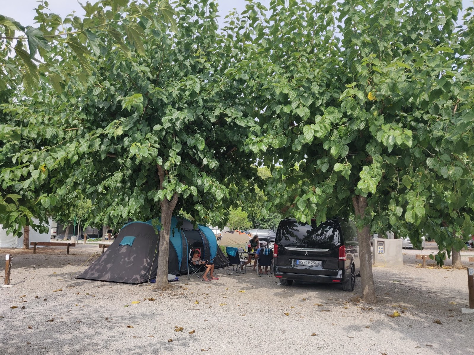 3 Bp Blogspot Com Dy 1rbkxv5s Uhfez61n66i Aaaaaaaaaey Dxsc0u2ygfw