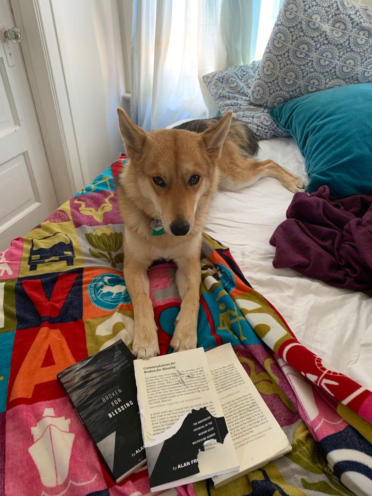 Why Do Dogs Eat Roots