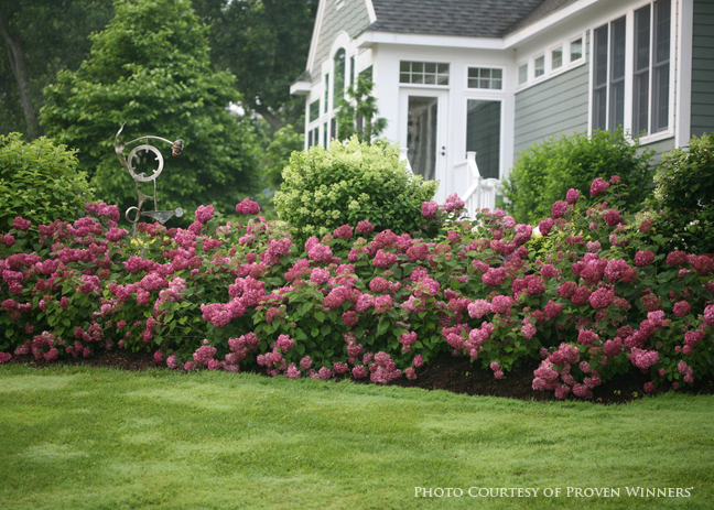 Sunset Nursery Spring 2018 By Cr Creative Co Ltd Issuu