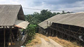 Keberadaan Peternakan Ayam Petelur WNA China di Sekitar Gunung Padang Jadi Sorotan, Ridwan Kamil Diingatkan