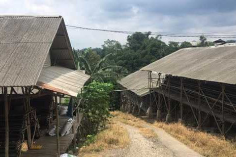 Andi Arief Wanti-wanti Ridwan Kamil Soal Jejaring Peternak China Di Kawasan Gunung Padang