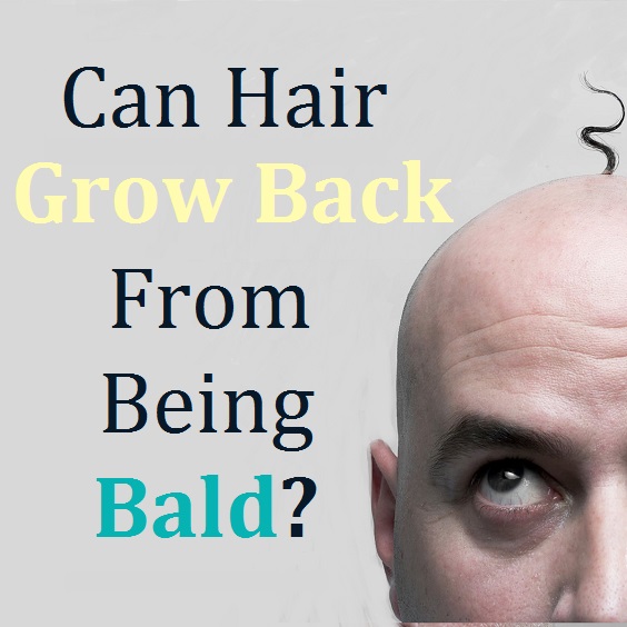 Can Hair Grow Back From Being Bald? beauty4everything