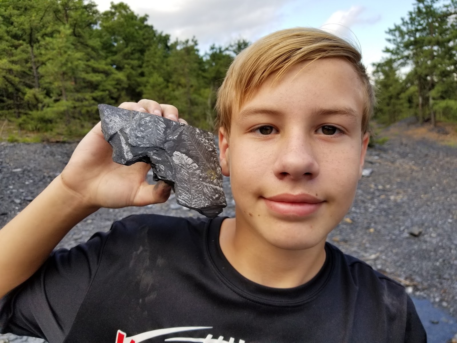 Rockhounding in the USA The Famous Fern Fossils of Pennsylvania
