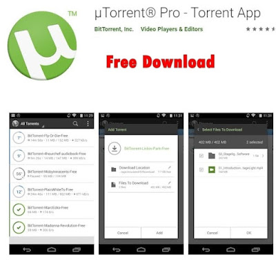 Download Torrent Application