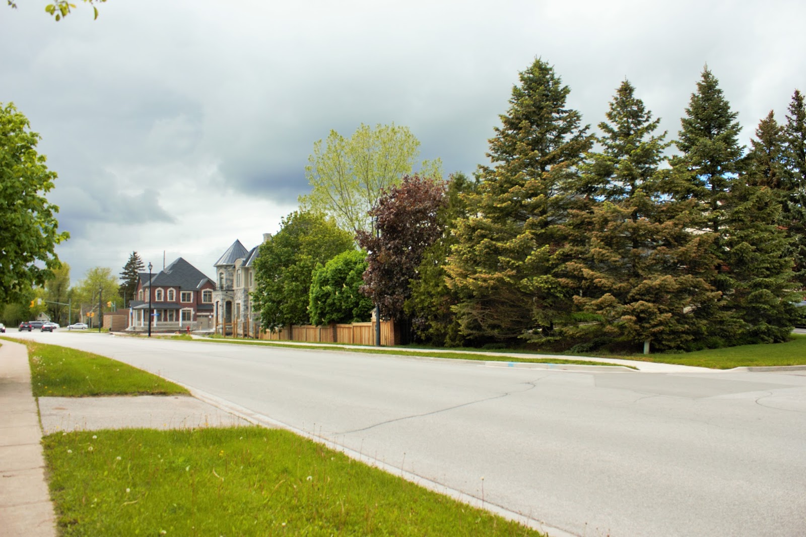 YOURk News and Events York Region Forests Map Developed Trails