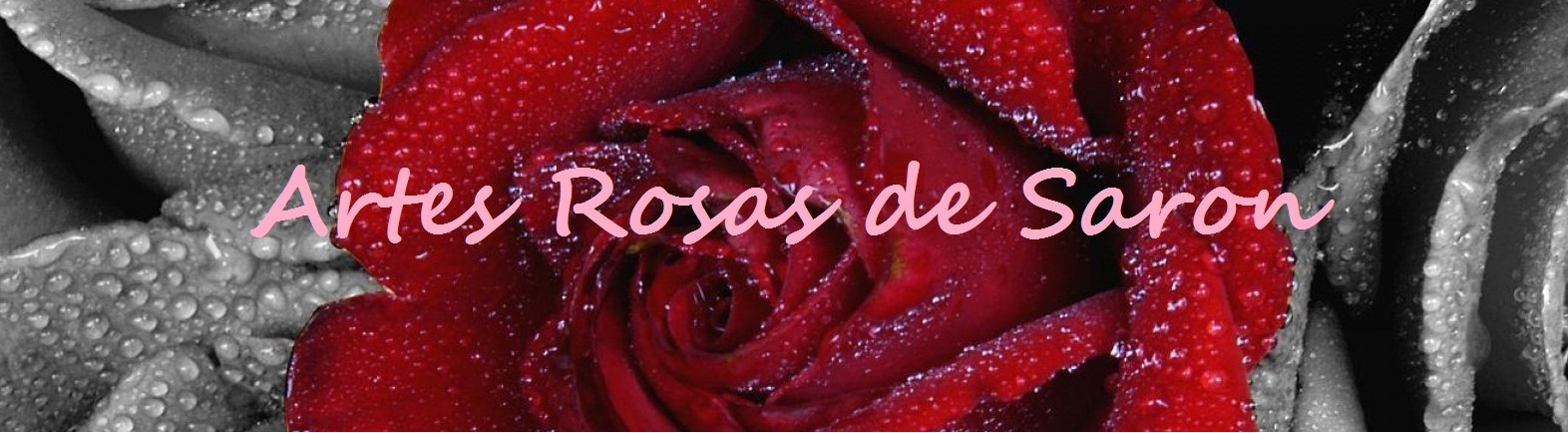 Artes Rosas de Saron