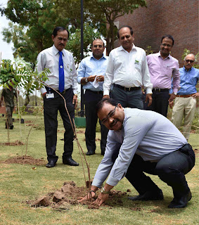 Cadila Pharmaceuticals planted 2000 saplings to celebrate ‘World Environment Day’ Cadila Pharmaceuticals planted 2000 saplings to celebrate ‘World Environment Day’