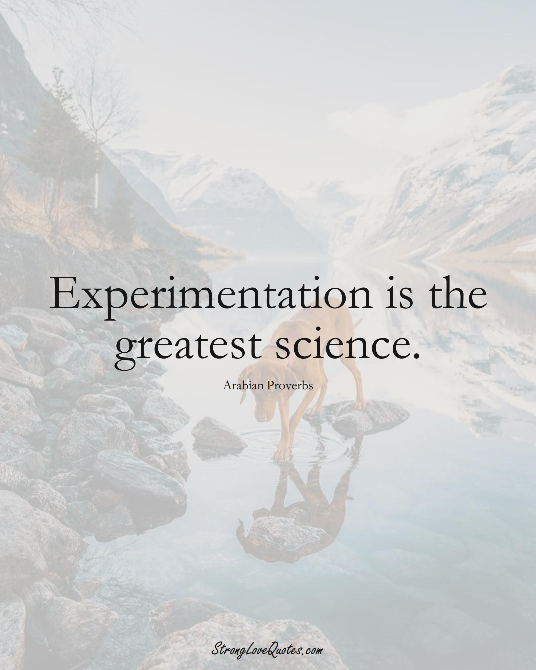 Experimentation is the greatest science. (Arabian Sayings);  #aVarietyofCulturesSayings