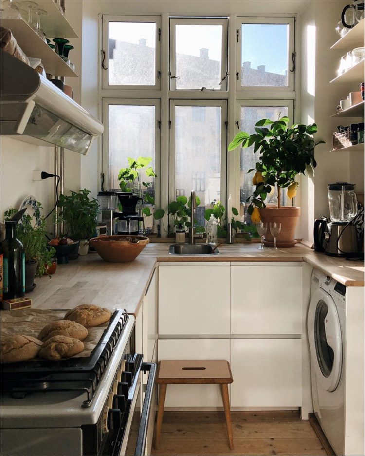 The Cosy, Small Flat of a Copenhagen Creative and Plant Lover