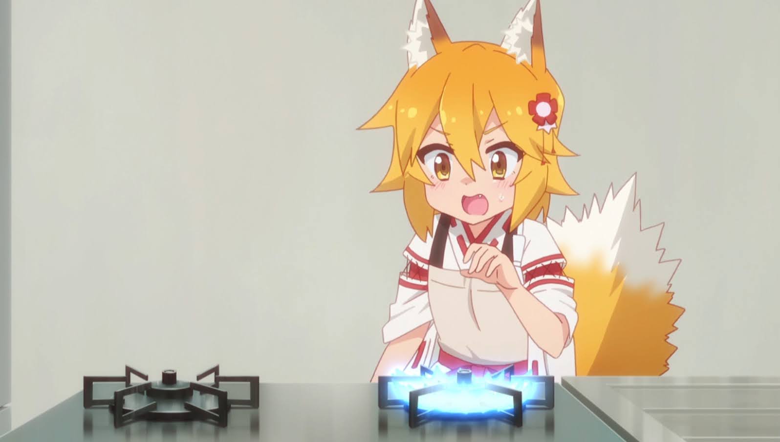 Sora the helpful Fox Senko.