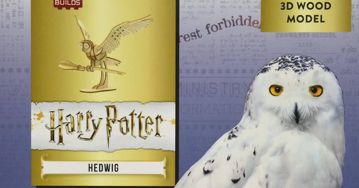 Feeling Fictional Review IncrediBuilds Harry Potter Hedwig Book and