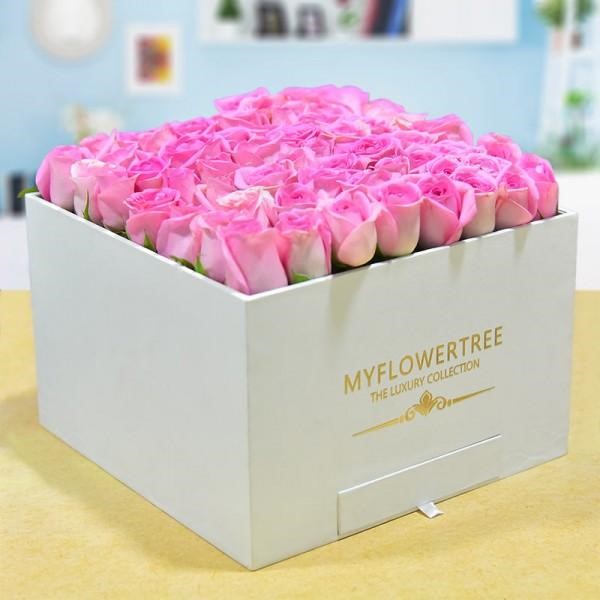 Beautiful Rose Flowers Hd Wallpapers