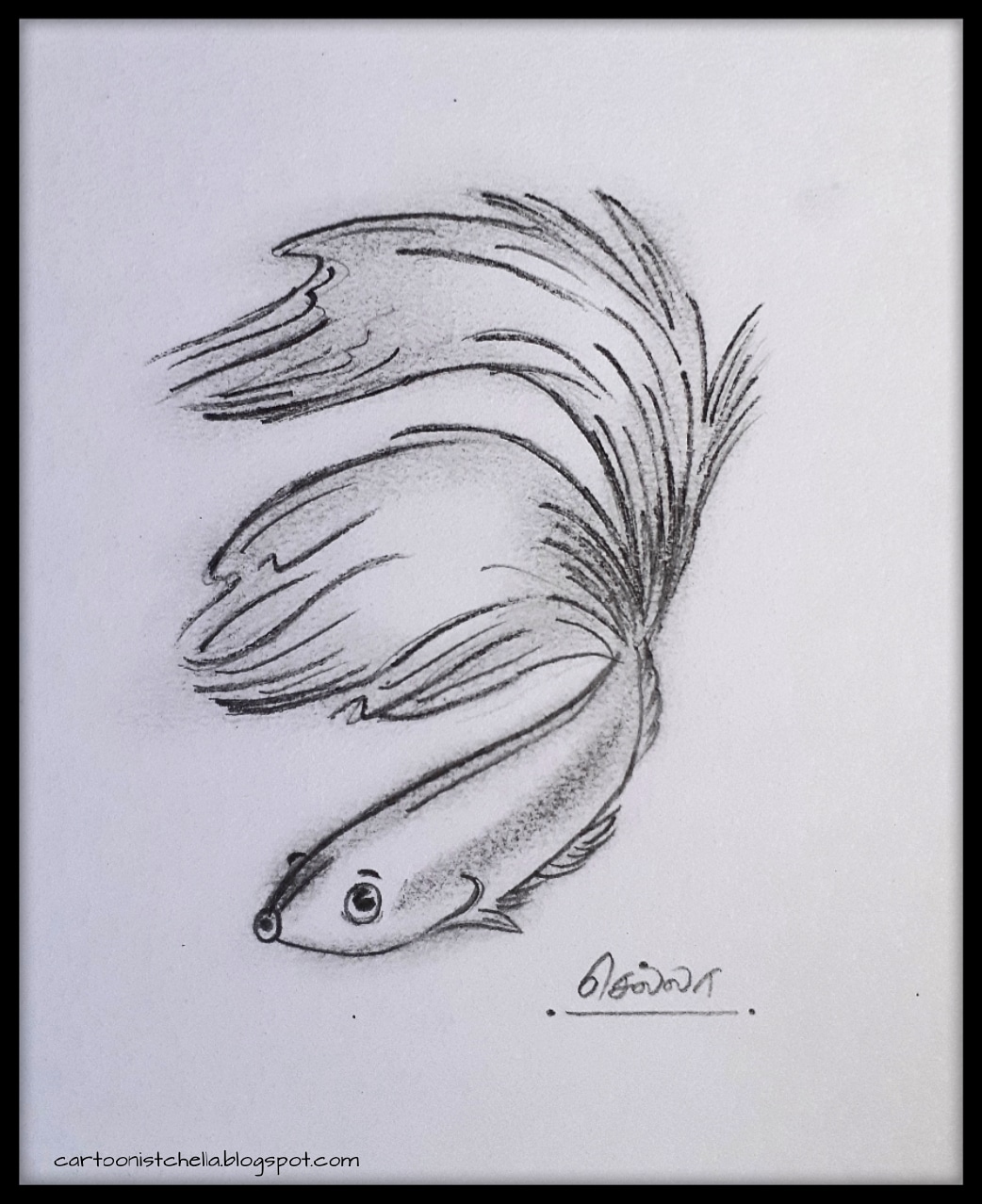 Chella Cartoons: Fish, Pencil sketch