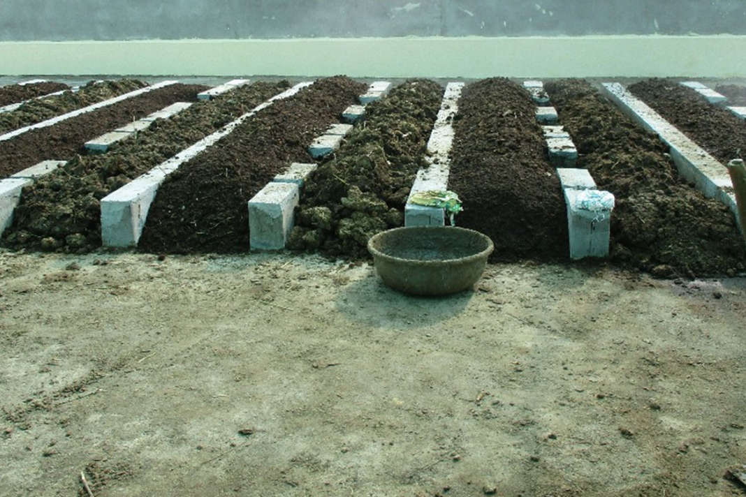 ખેતીમાં વધારે નફો મેળવવાના ઉપાયો