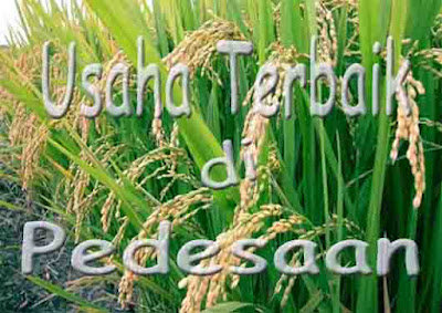 Usaha Di Pedesaan Usaha Di Pedesaan https://nungtung.blogspot.com/