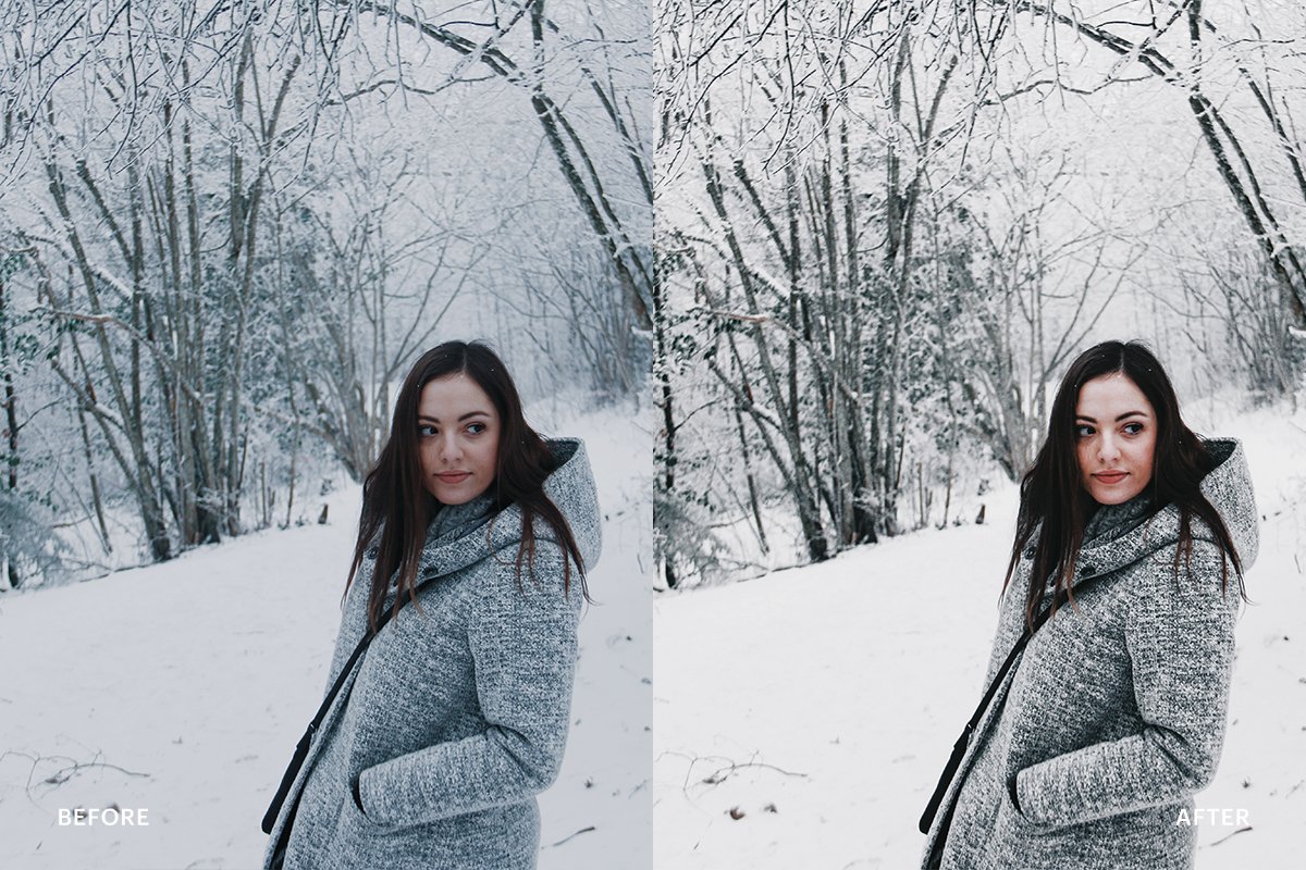 Lightroom Preset Snow Winter (DNG)