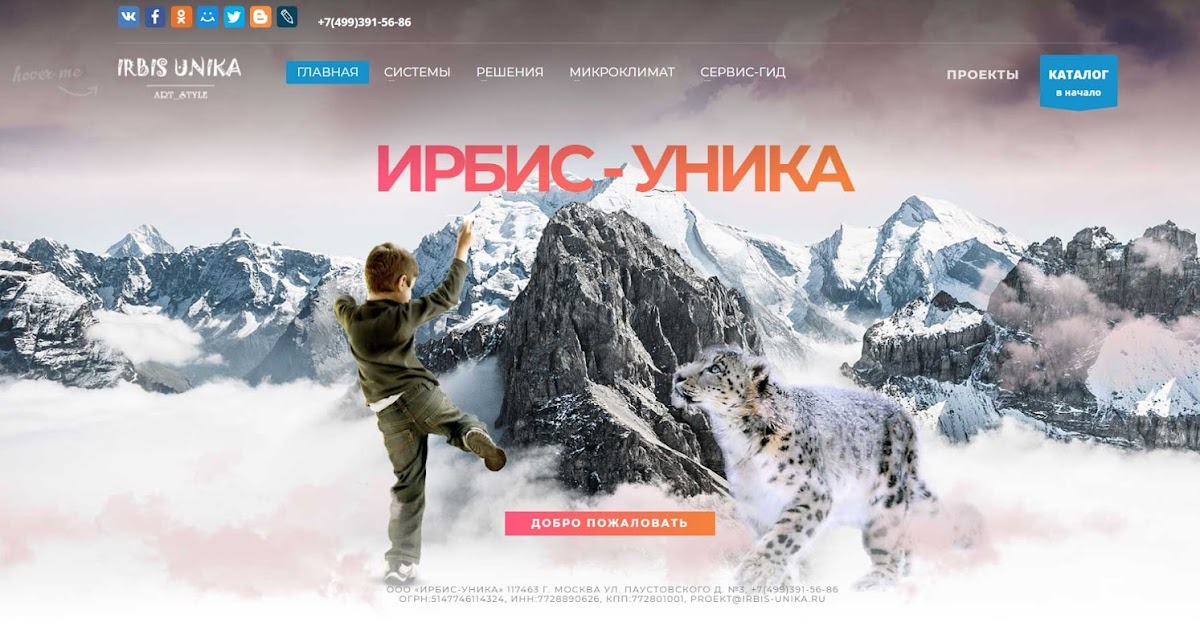 Ирбис аналитика ижевск. Ирбис аналитика ижевск. Снежный барс отряд. Челябинск ирбис. Ирбис аналитика ижевск.