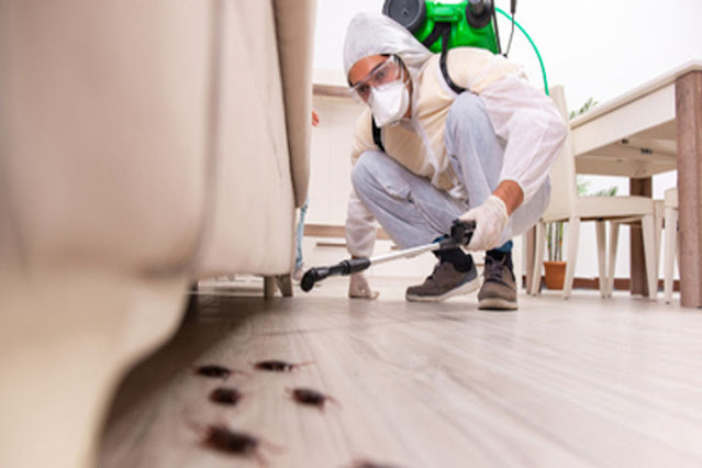 Pest Control for Your Home: Easy and Effective Methods