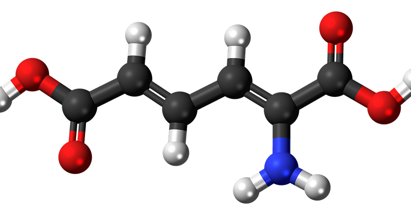 Contoh proses katabolisme image