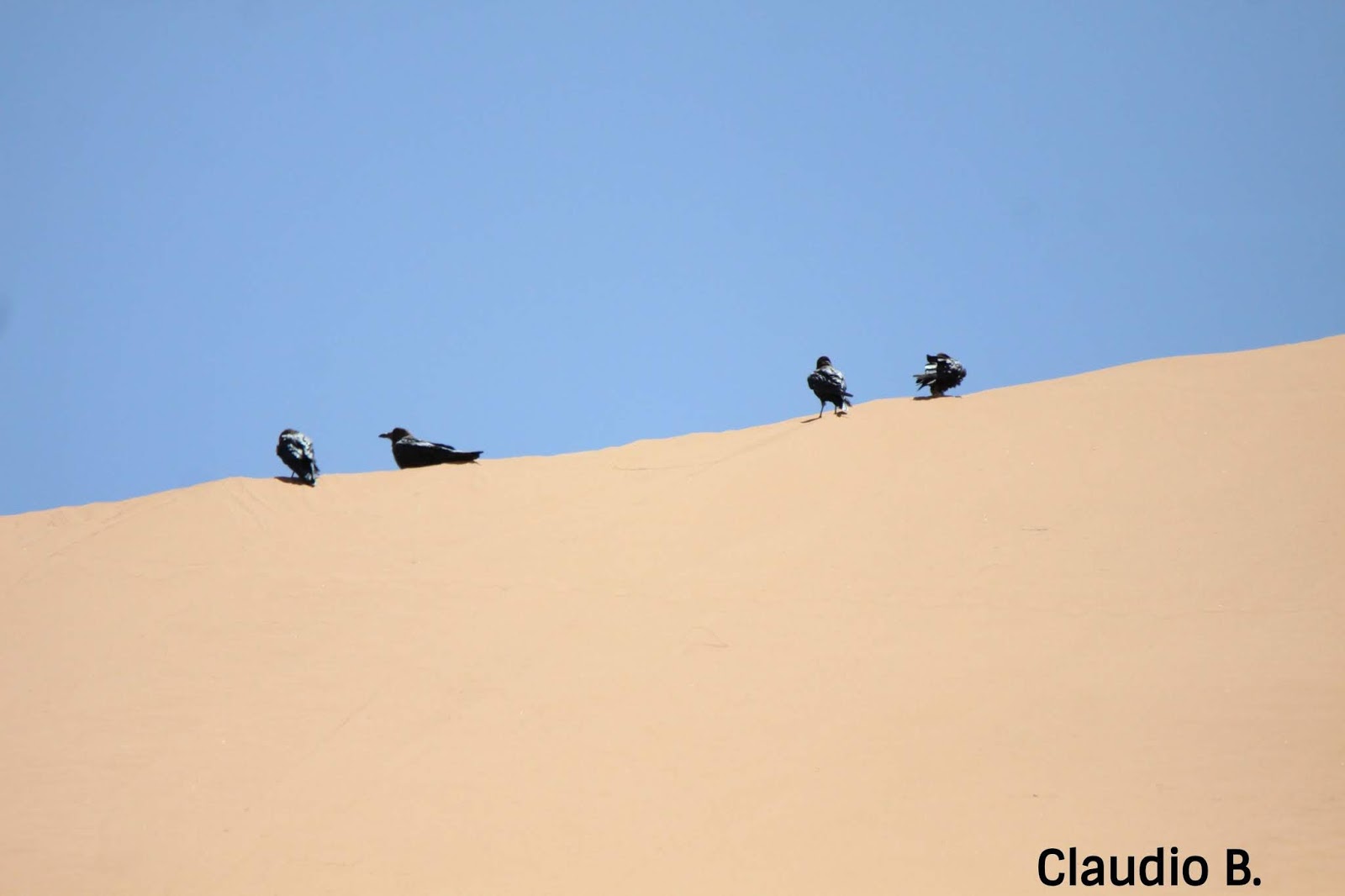 Three Day Sahara Desert Tour Tash Wanders A Travel And