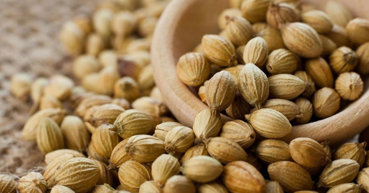 Belum Diketahui, Ternyata Kapulaga Sangat Bermanfaat Bagi