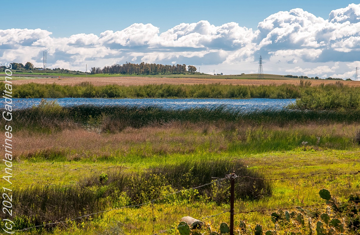 . CIRCULAR AL COMPLEJO ENDORRÉICO DEL