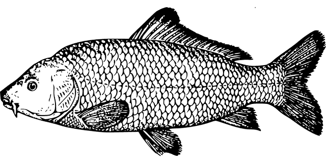 Der Weihnachtskarpfen – Anekdote – Johann Wolfgang von Goethe Der Weihnachtskarpfen – Anekdote – Johann Wolfgang von Goethe