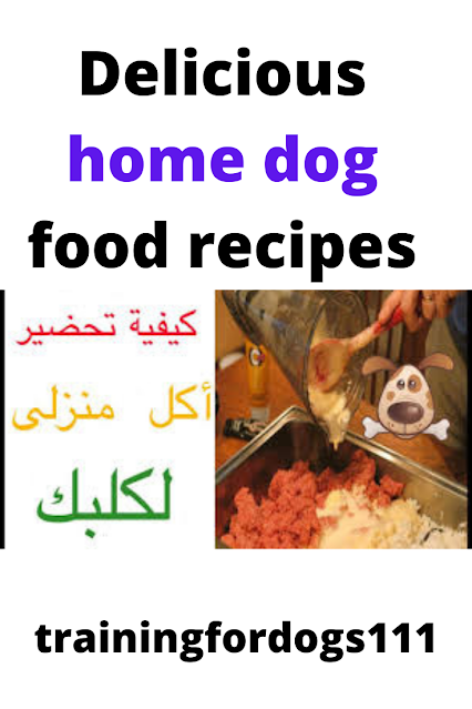 Delicious home dog food recipes