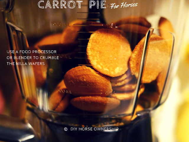 DIY Carrot Pie for Horses Recipe