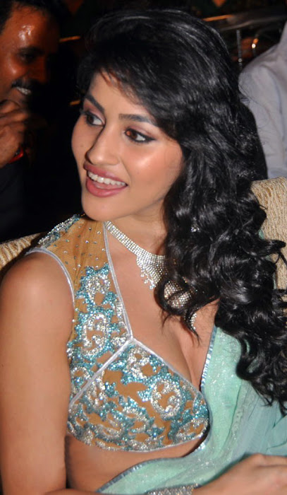 anjali lavania @ panjaa audio launch close up excl hq actress pics
